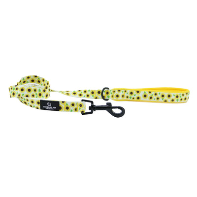 Ancol Soho Pet Collection Sunflower Lead